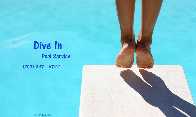 Dive In Pool Service