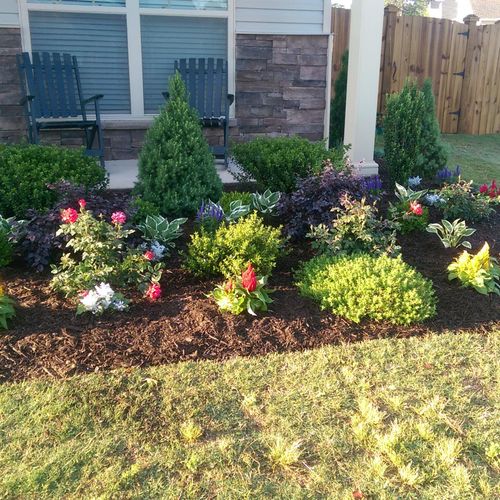 Front yard landscaping project