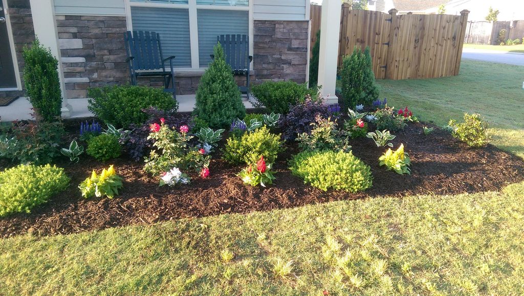 Front yard landscaping project