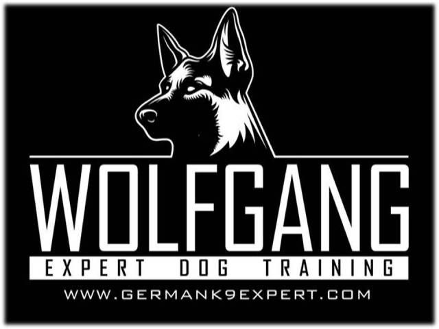 Wolfgang Expert Dog Training