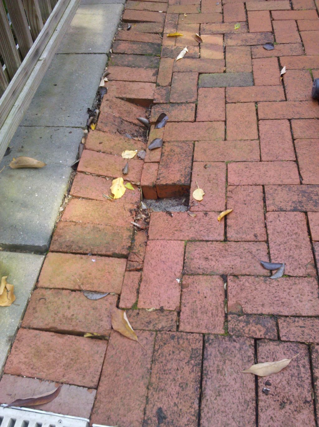 Brick pathway all sunken and broken up (before)