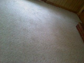 Kelly's Carpet and Upholstery Cleaning