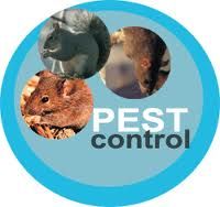 All Statewide Pest Control
