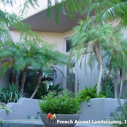 Lush tropical landscaping for a main entry in Care