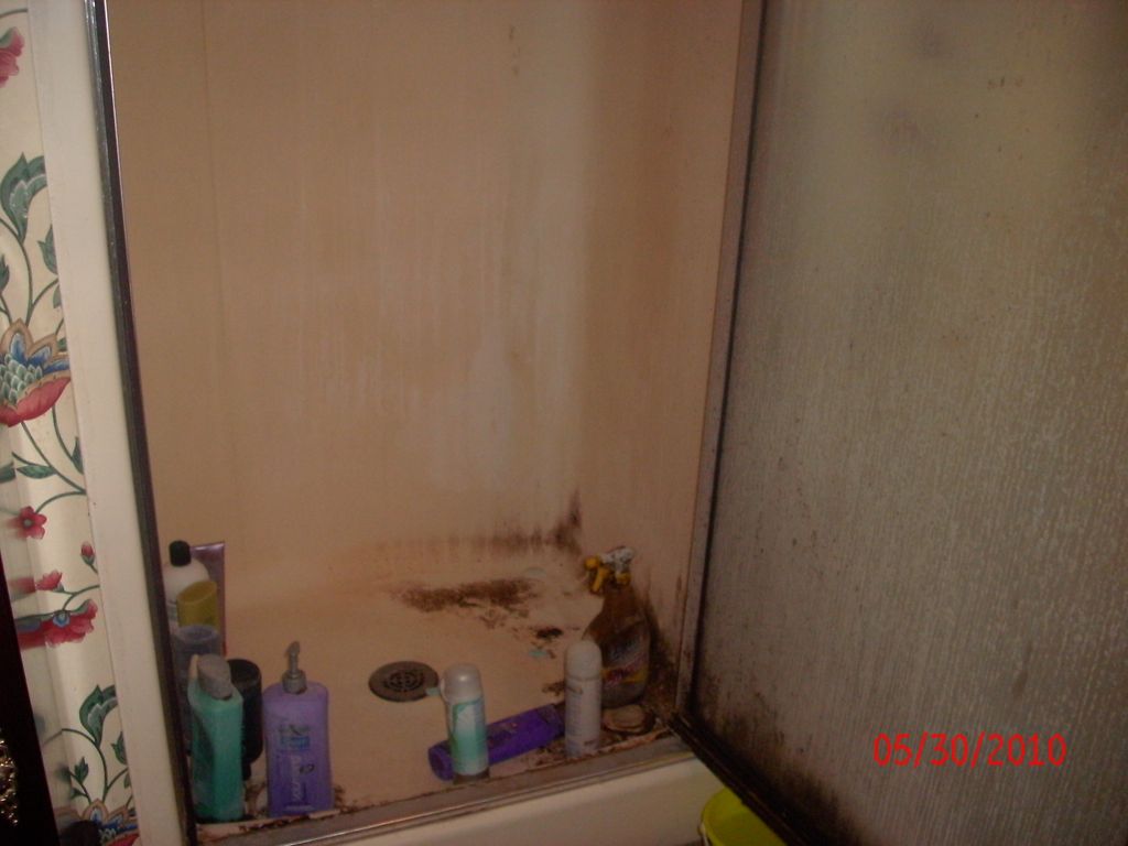 Before Cleaning
