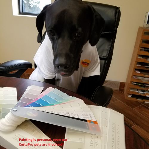 Painting is personal, even to our CertaPets!