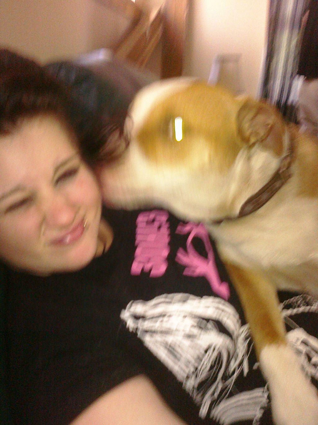 a dog that i sat and played with constantly