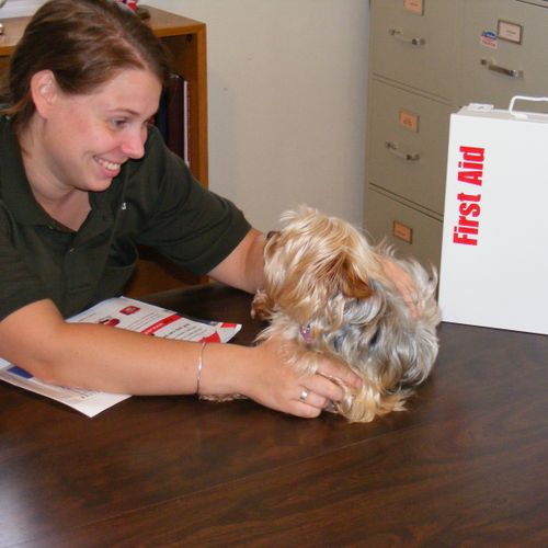 We offer dog first aid and CPR certification class