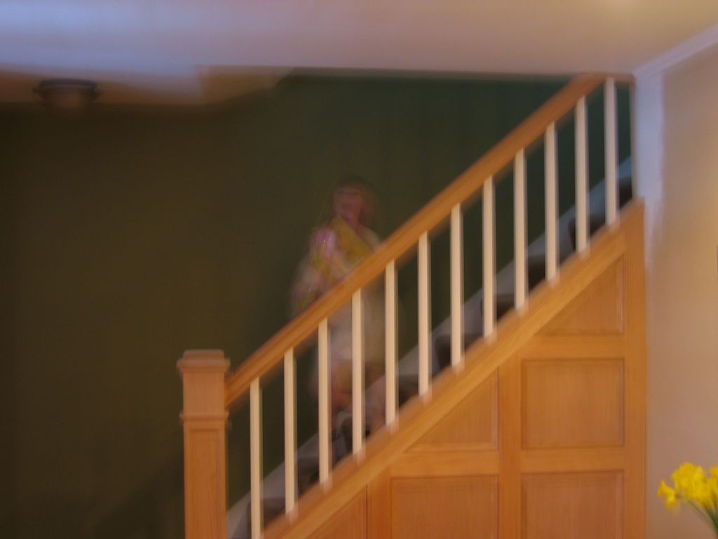 Oak stair rail and paneling