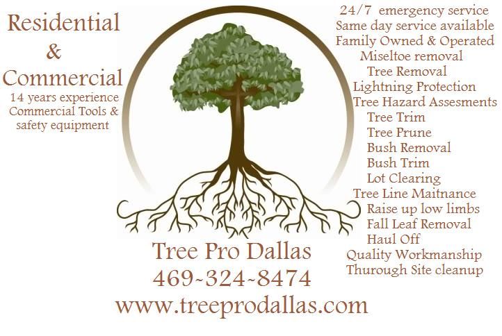 Tree Professionals of Dallas