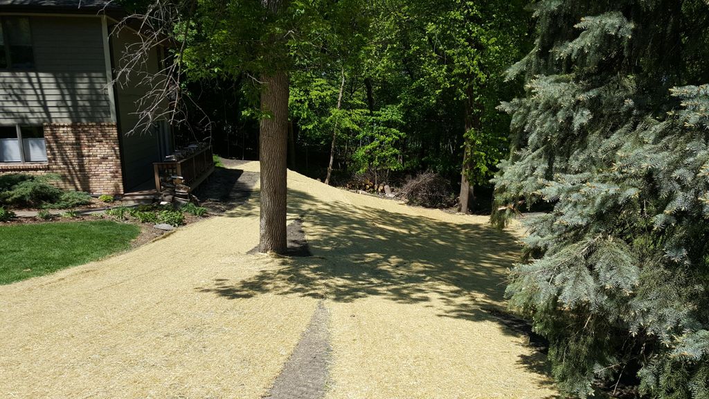 Here is the same house in Maple Grove after import