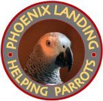 Phoenix landing Foundation