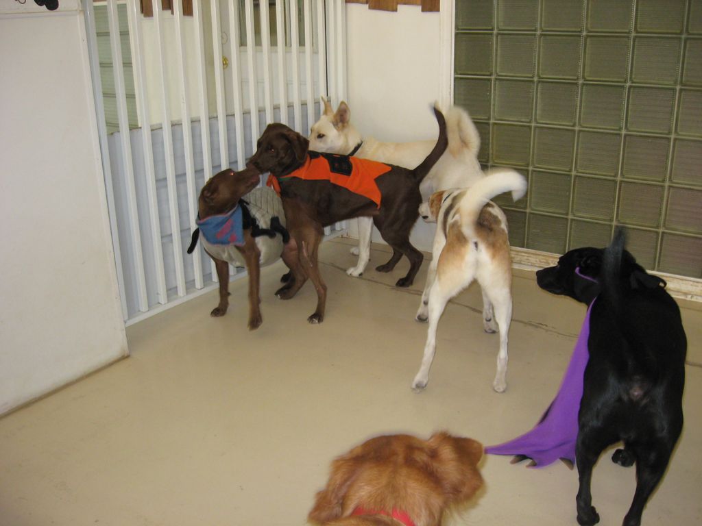 Friends at play!!