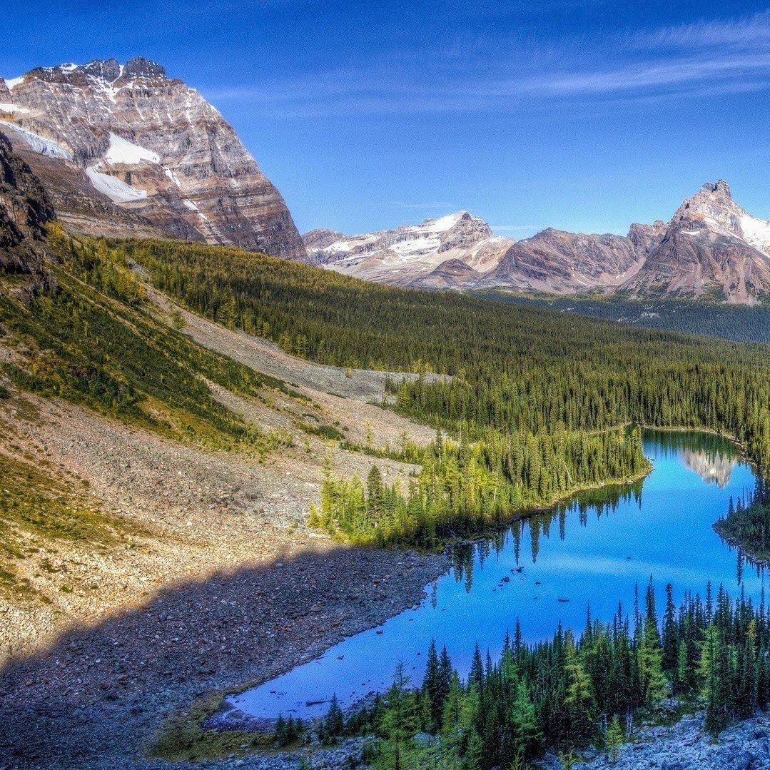 Rocky Mountain Duct Cleaners Sandy, UT Thumbtack