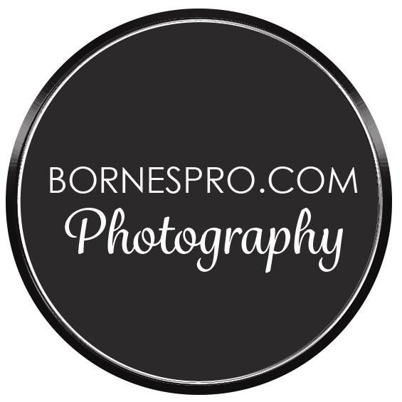 BornesPro Media