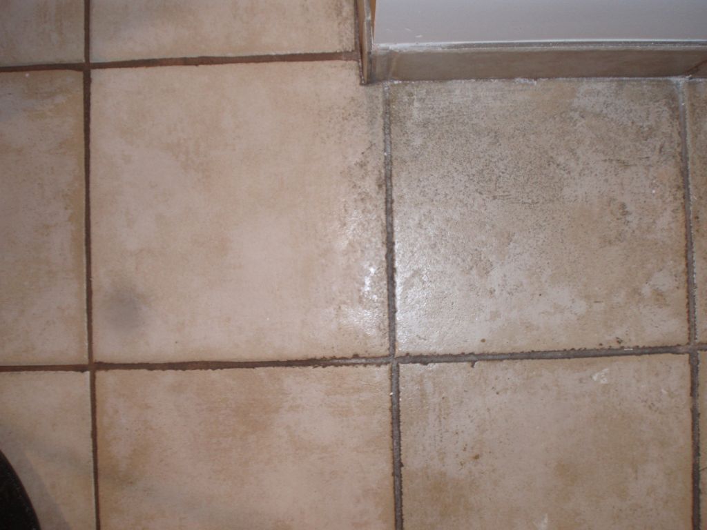 Half of the tile cleaned using HOST