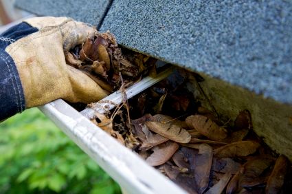 Gutter Cleaning & Gutters & Downspout Cleaning Ser