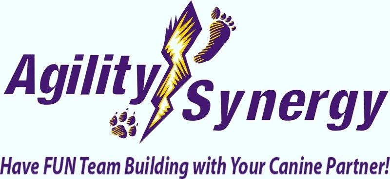 Agility Synergy LLC