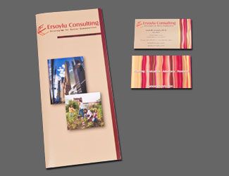 Full-color Brochure and business cards (could you 