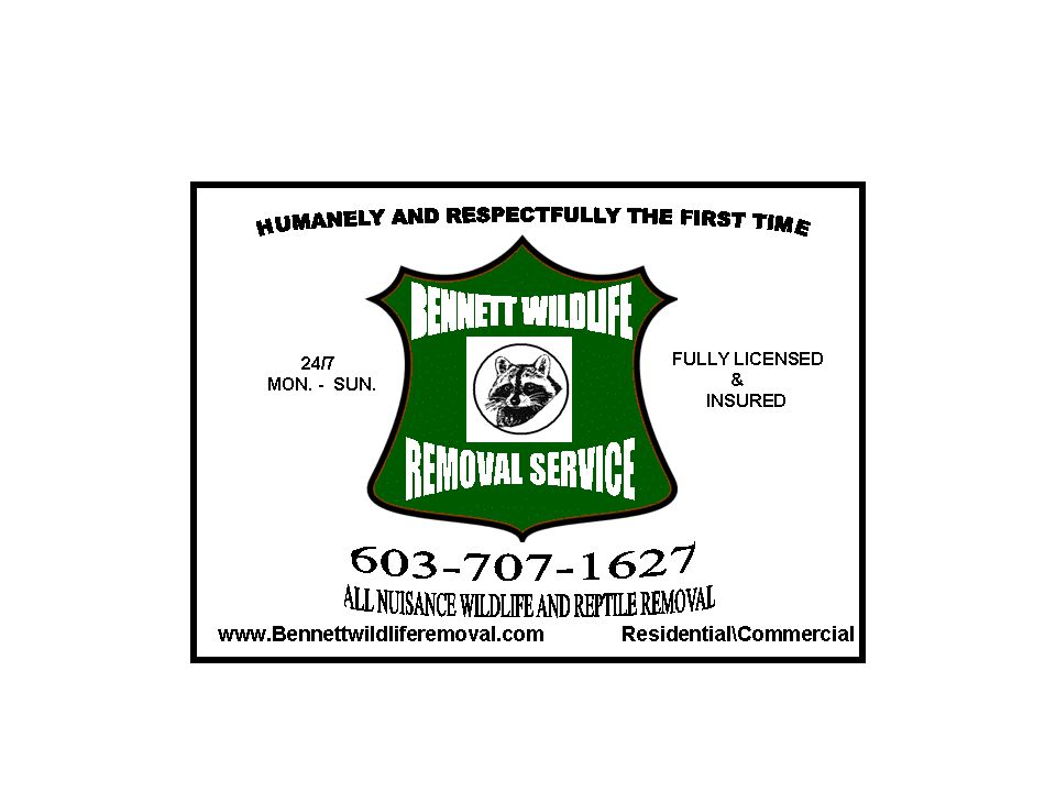 Bennett Wildlife Removal Service.
