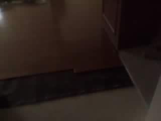 carpet to laminate to ceramic