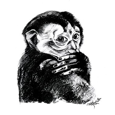 Monkey Love Illustration
