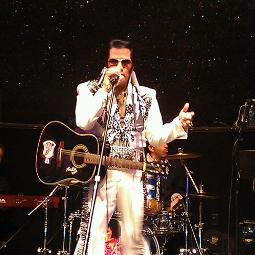 Elvis by Gene DiNapoli