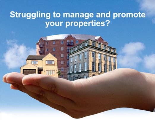 Allegiance Properties Management