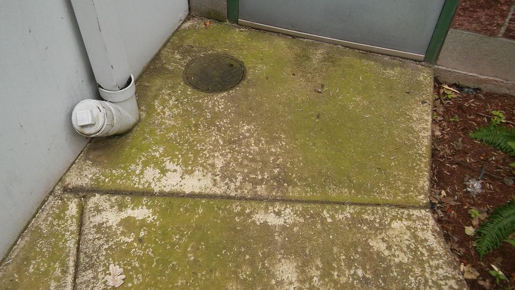 Built up algae after a long winter. can make sidew