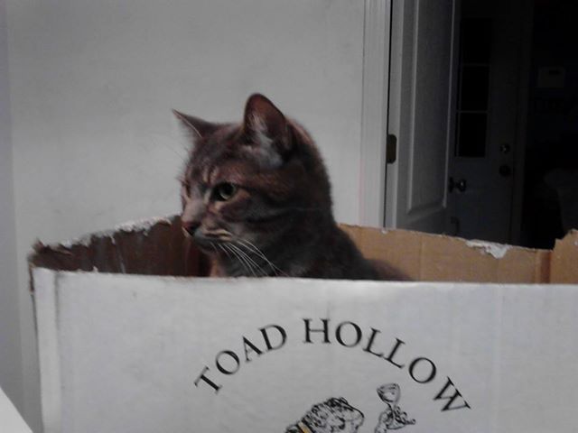 You can't see me. I'm in the box.