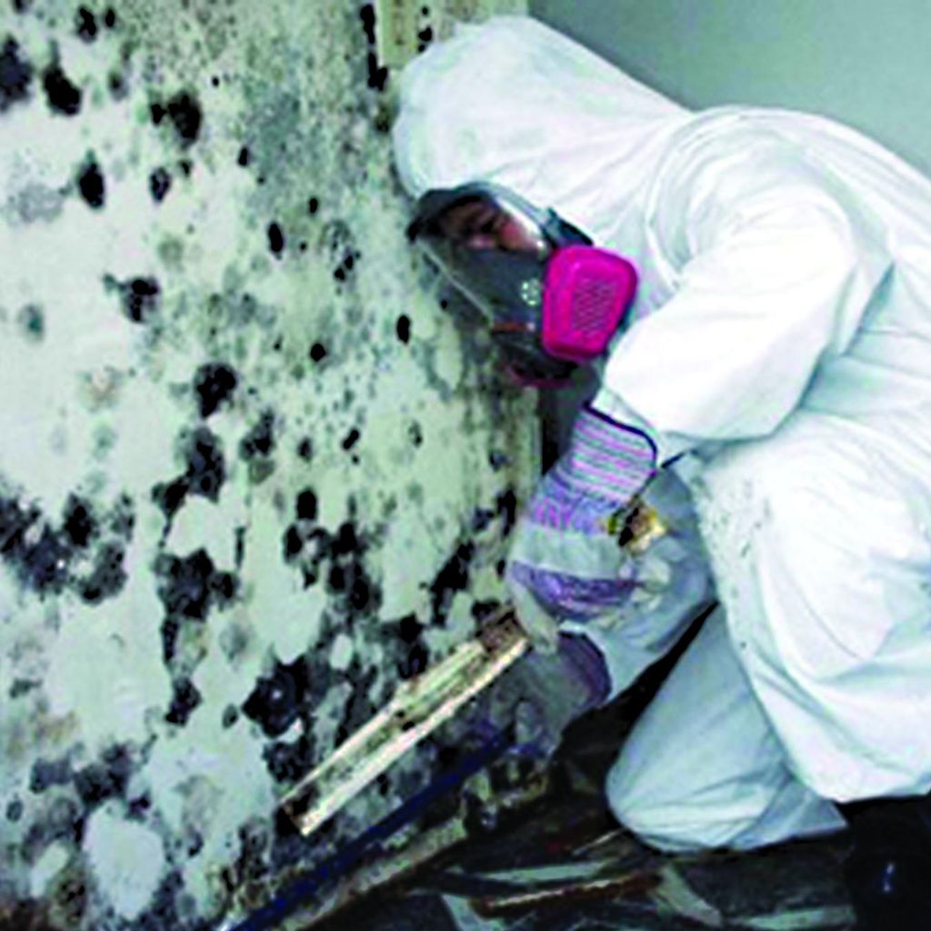 South Florida Water and Mold Restoration, Inc.