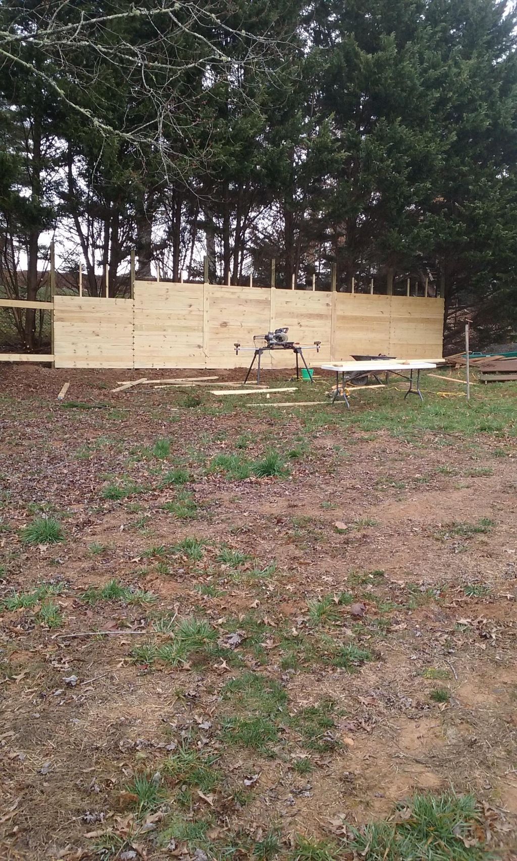 Projects and media