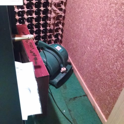 Air mover drying wine cellar after sump pump failu