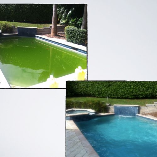 Green pool to swimming pool in only 3 days!