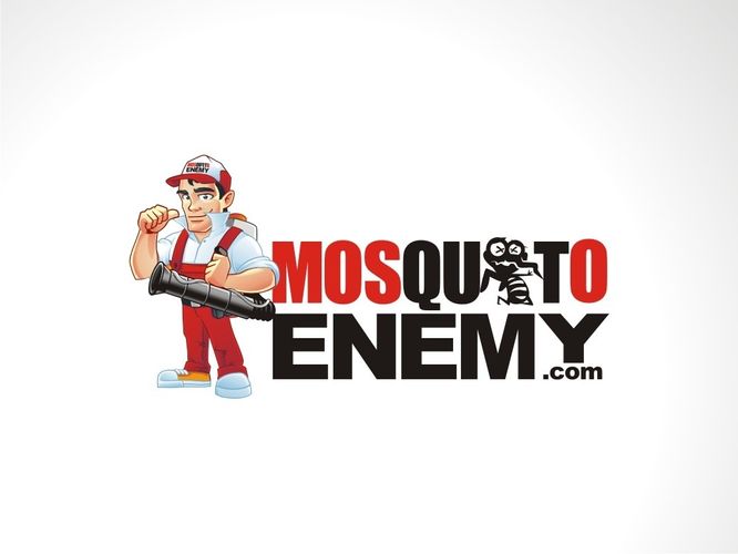 Mosquito Enemy
