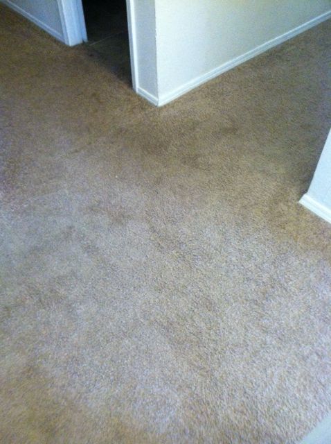 Before photo of high traffic hallway.