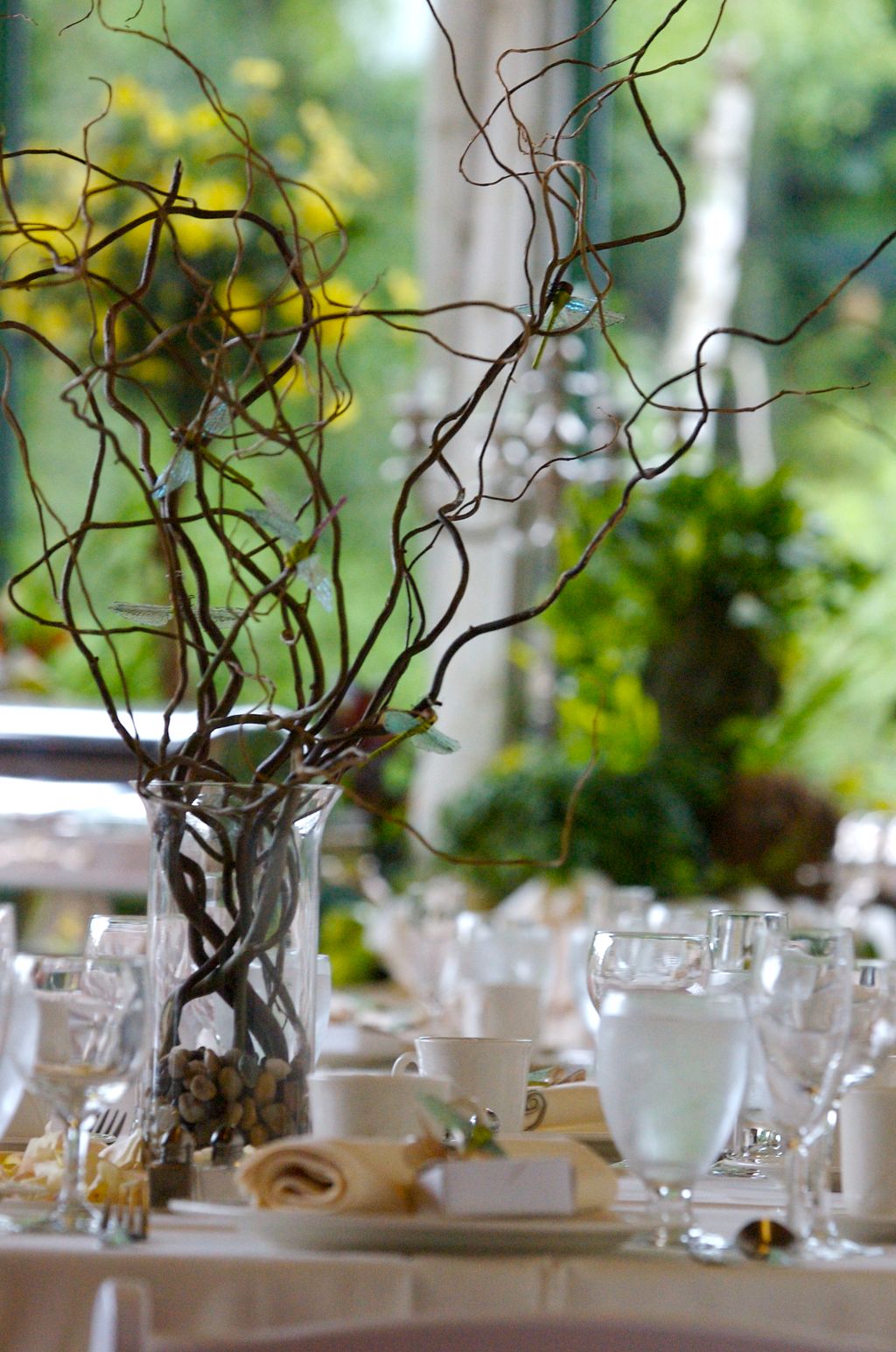 A Dragon Fly Theme at the Pond House Cafe