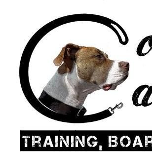 Avatar for Complete Canine Training, Boarding & Behavior S...