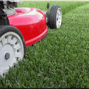 Matthew's Lawn Care & Carpet Extraction
