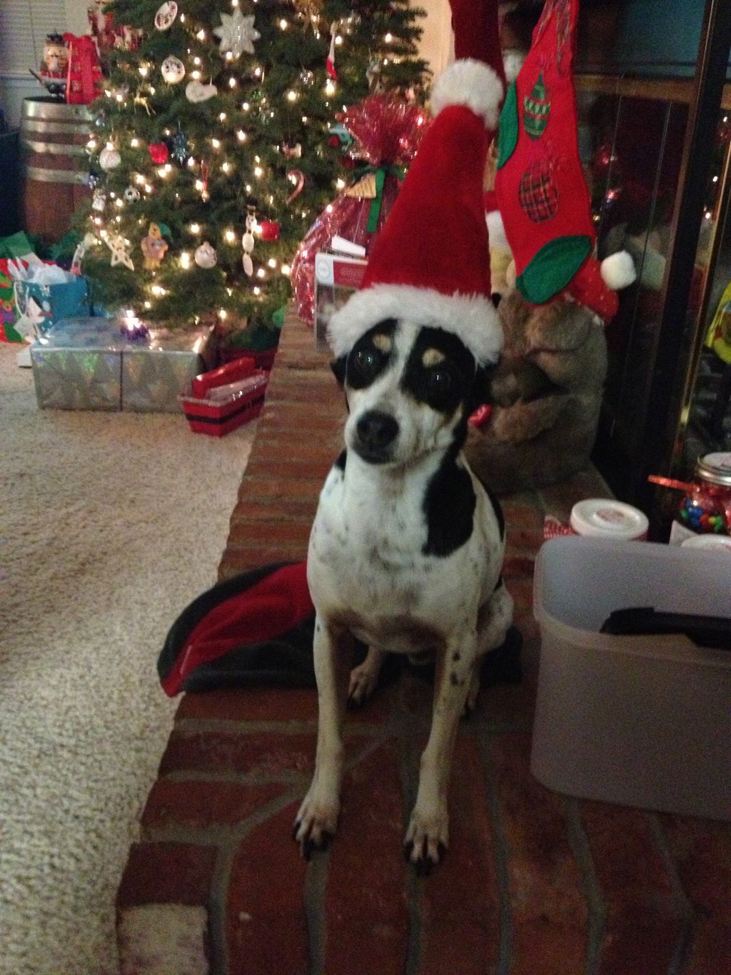 Max