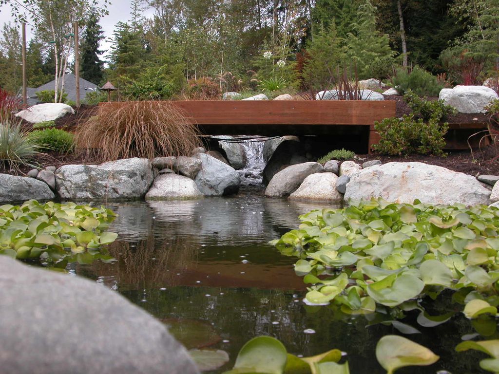 The Koi just love this stuff.