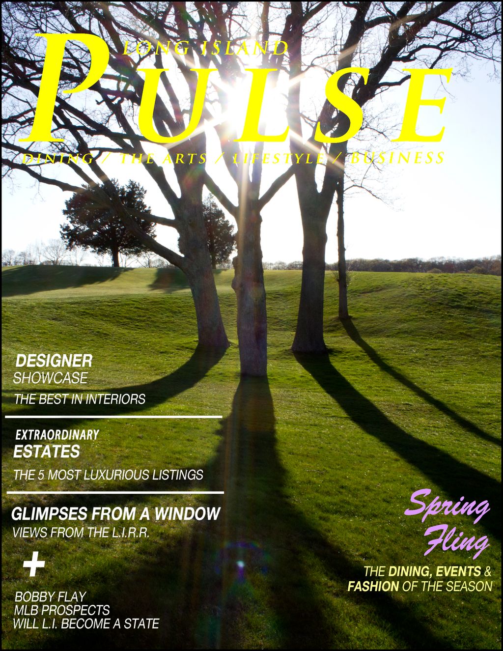 Cover Pulse Magazine