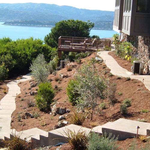 Hillside installation of pathways, cement stairs, 