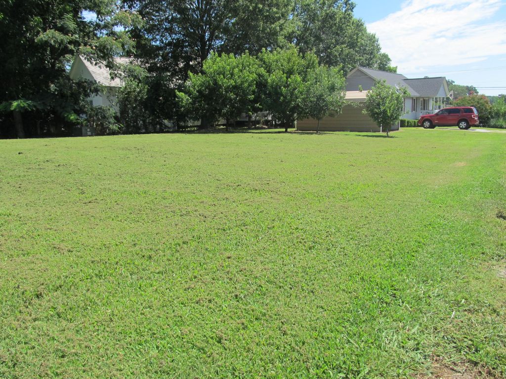 After mowing 12" + high grass.