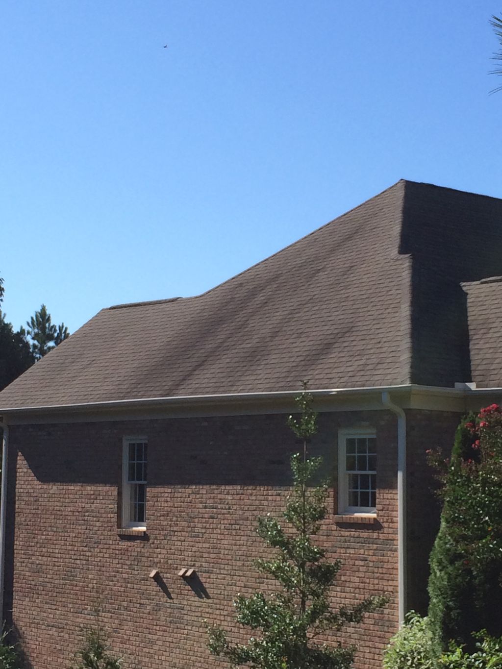 Roof with mold and algae