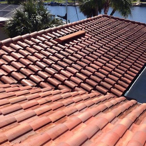before and after roof cleaning GULF HARBORS