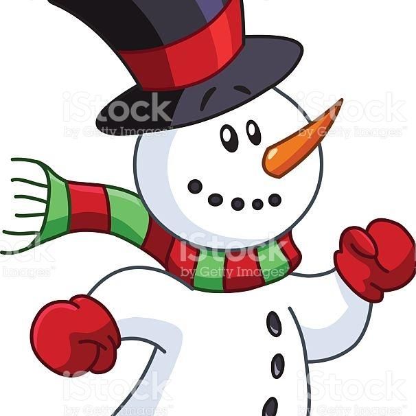 Mr. Snowman Air Conditioning and Heating llc
