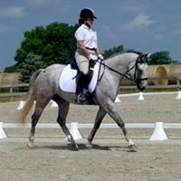 Dana's Dressage and Eventing Academy