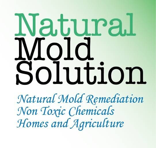 a safe way to get rid of mold