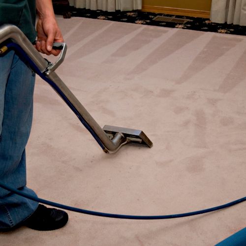 Carpet cleaning specialist